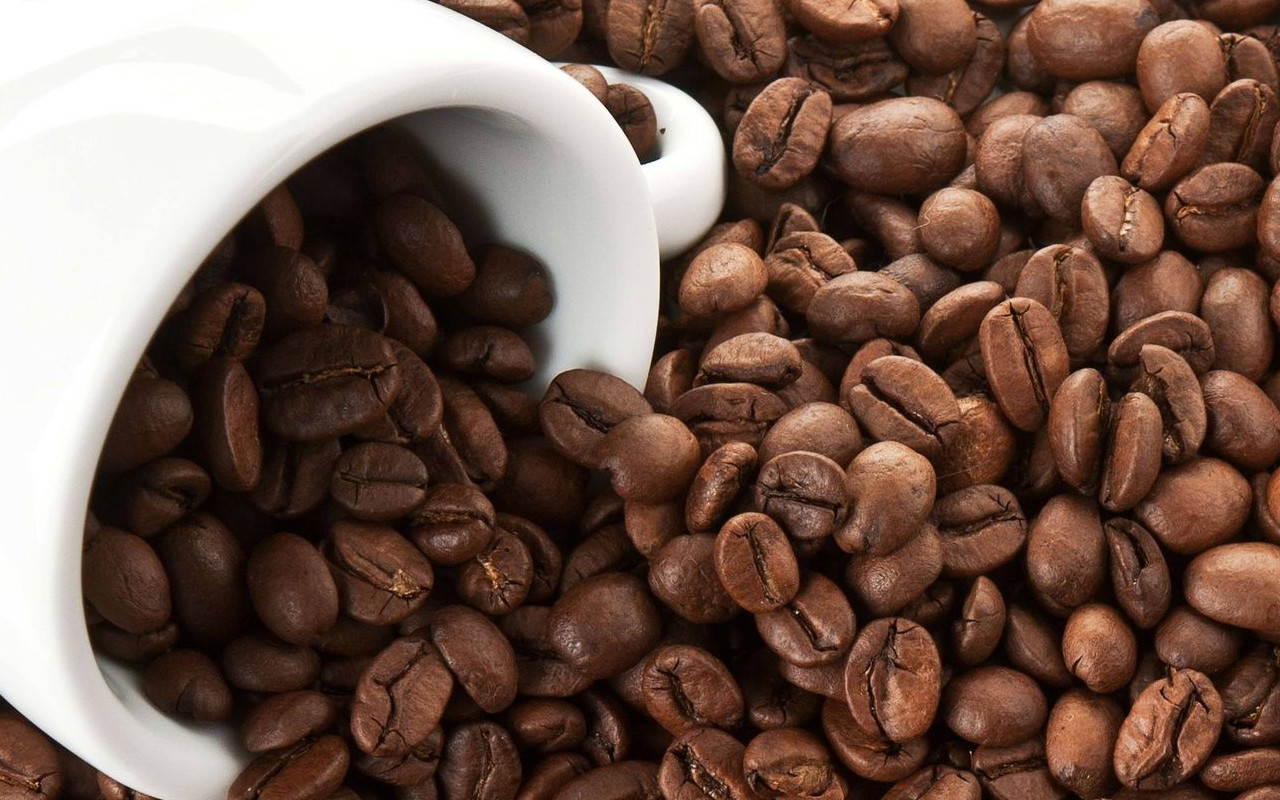 www.webcaffe.ws